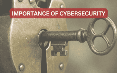 Understanding the Importance of Data Protection